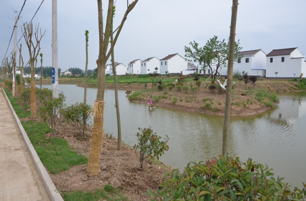 《農(nóng)村黑臭水體治理工作指南》來了！