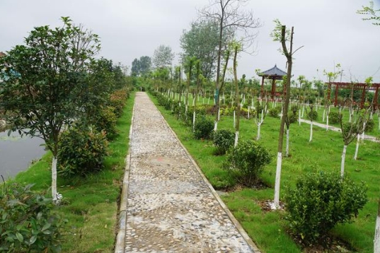 福建省生態(tài)環(huán)境廳、農(nóng)業(yè)農(nóng)村廳關(guān)于進(jìn)一步加強(qiáng)農(nóng)村生活污水治理工作的通知！